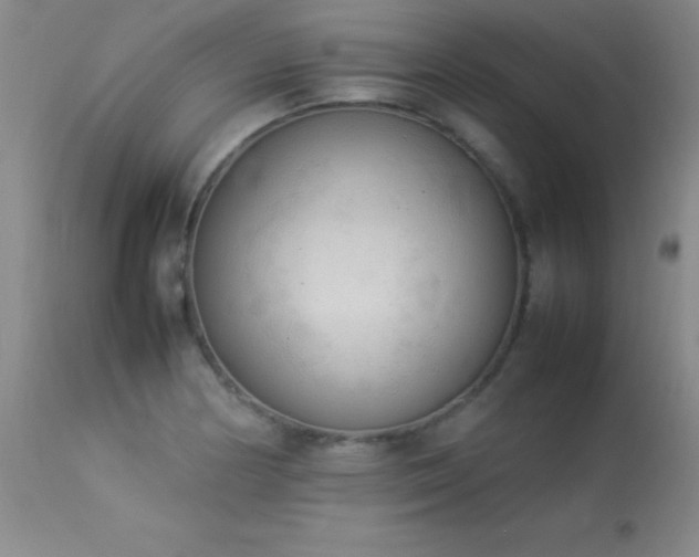 X0000114221178200910091340