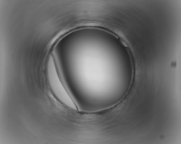 X0000114221181200910091340