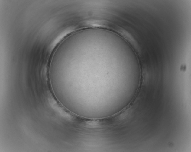 X0000114221182200910091340