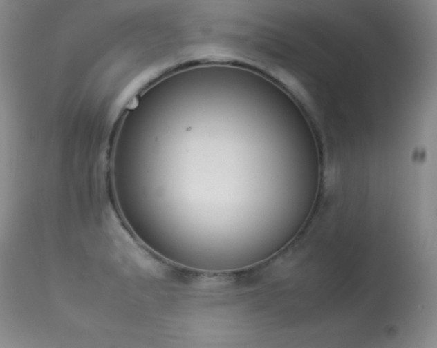 X0000114221183200910091340