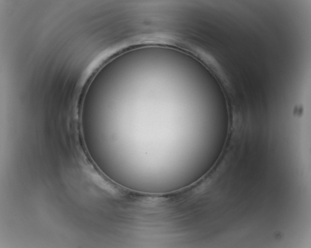 X0000114221184200910091340