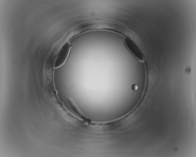 X0000114221185200910091340