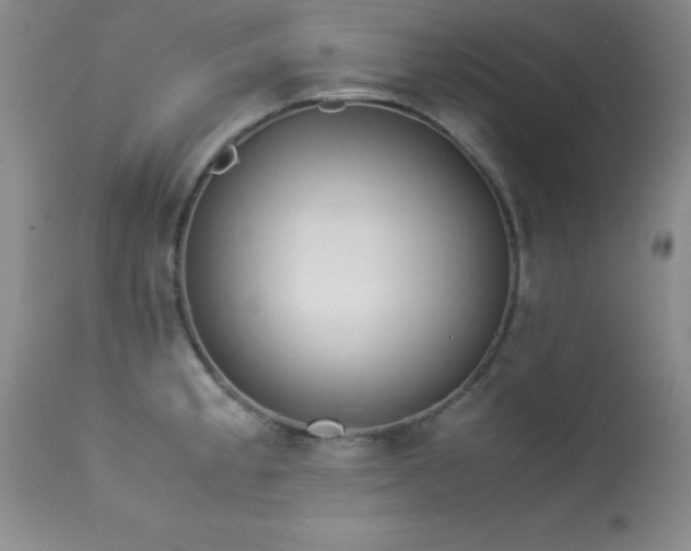 X0000114221189200910091340