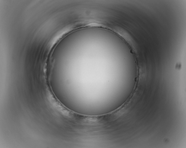 X0000114221190200910091340