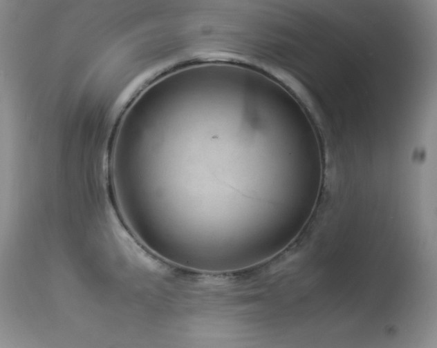 X0000114221191200910091340