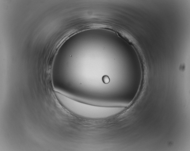 X0000114221193200910091340