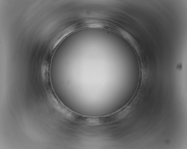 X0000114221194200910091340