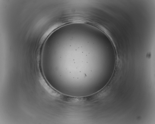X0000114221195200910091340