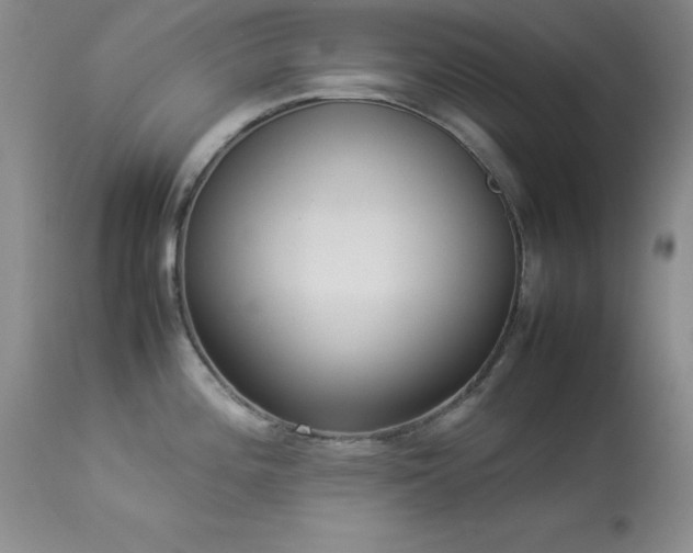 X0000114221196200910091340