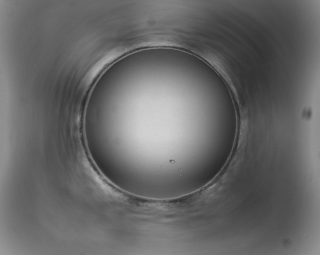 X0000114221197200910091340