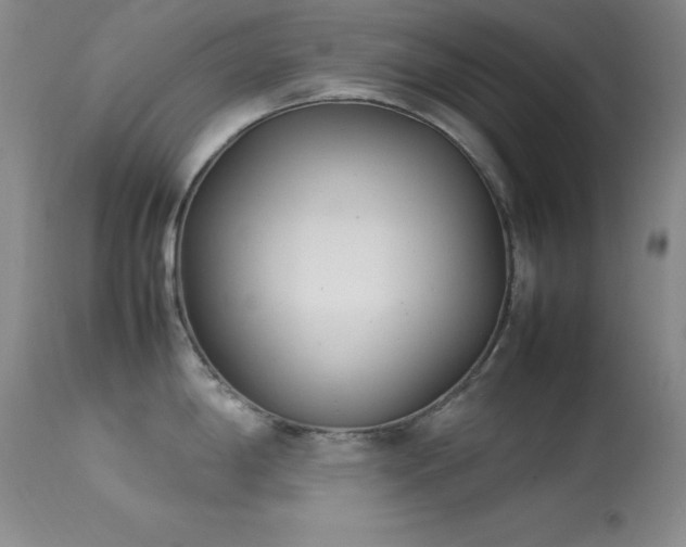 X0000114221198200910091340
