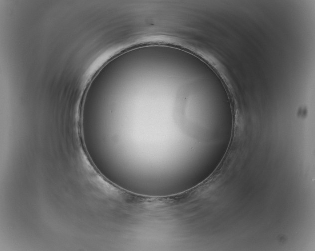 X0000114221199200910091340