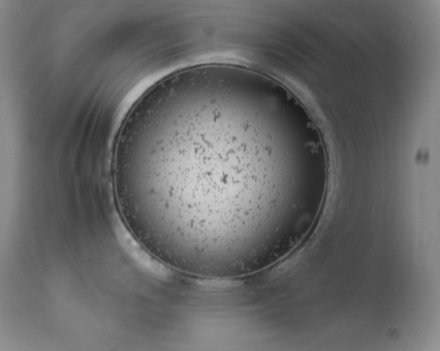 X0000114221200200910091340