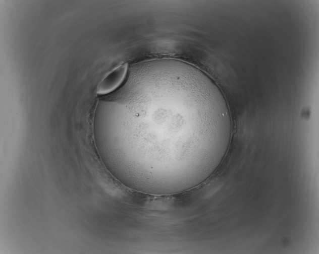 X0000114221201200910091339