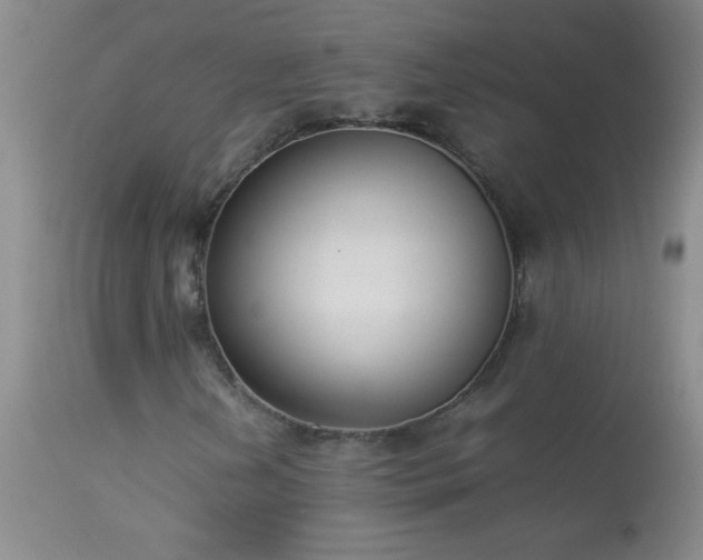 X0000114221202200910091339
