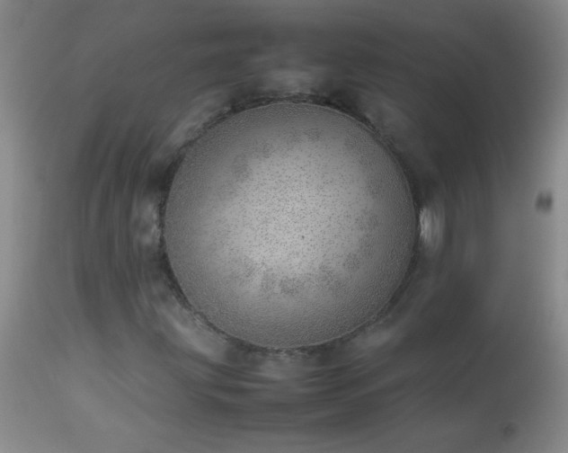 X0000114221203200910091339