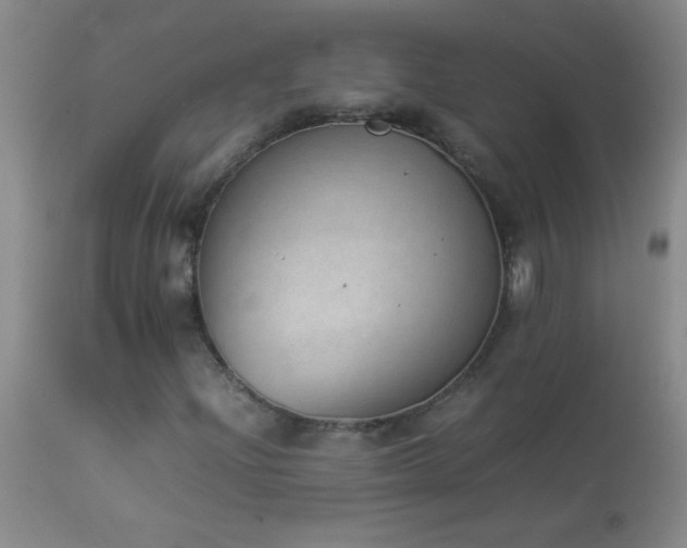 X0000114221204200910091339