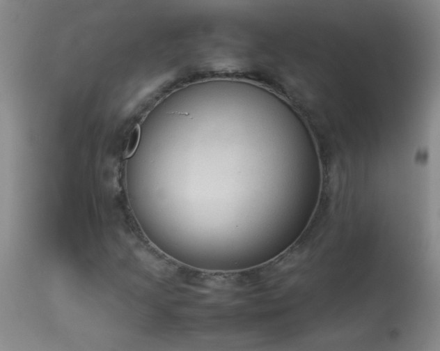 X0000114221205200910091339