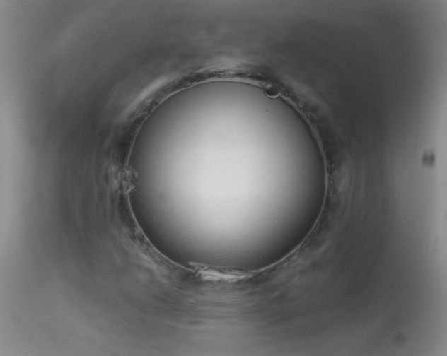X0000114221206200910091339
