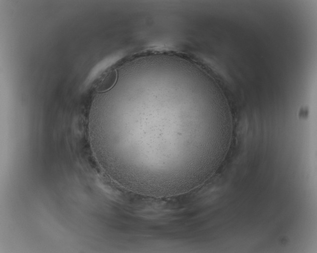 X0000114221207200910091339