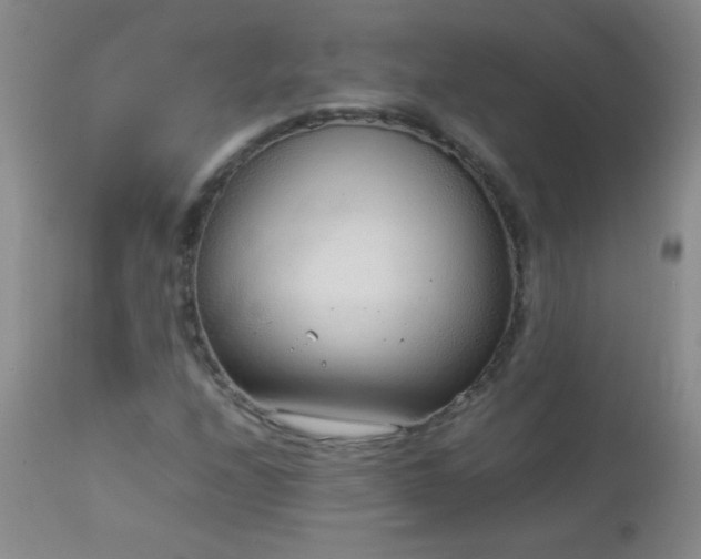 X0000114221208200910091339