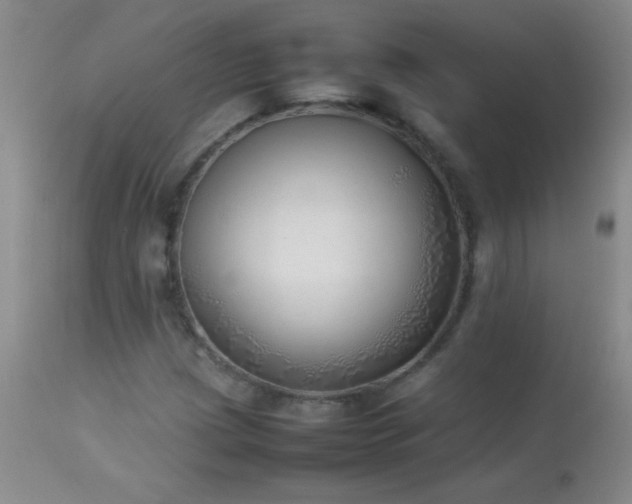 X0000114221209200910091339