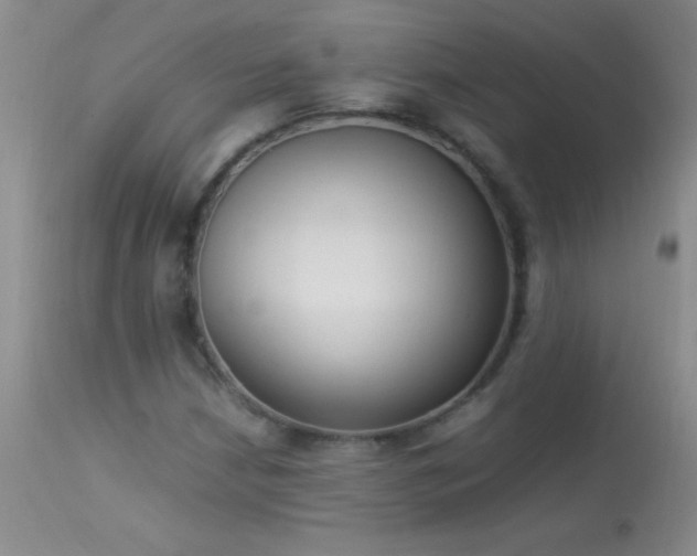 X0000114221210200910091339