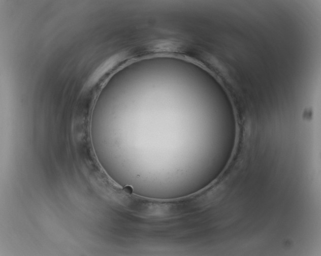 X0000114221211200910091339