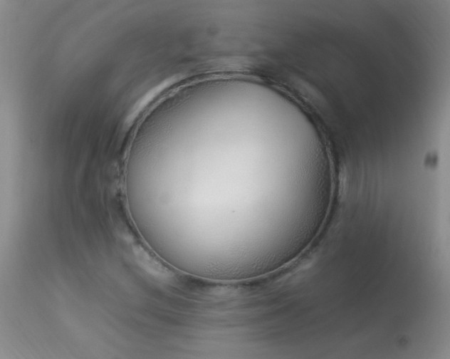 X0000114221212200910091339
