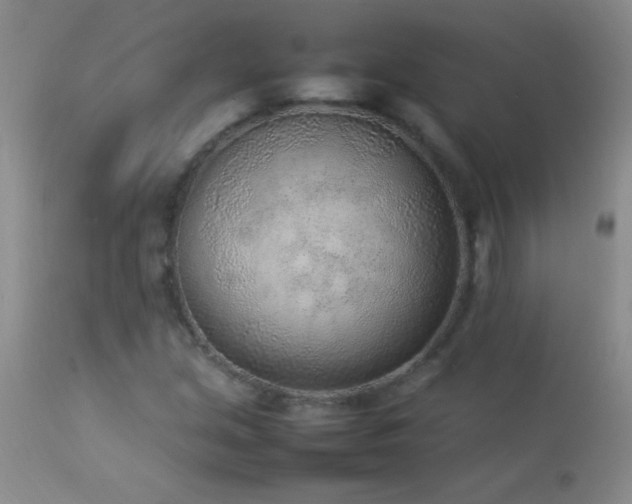 X0000114221213200910091339