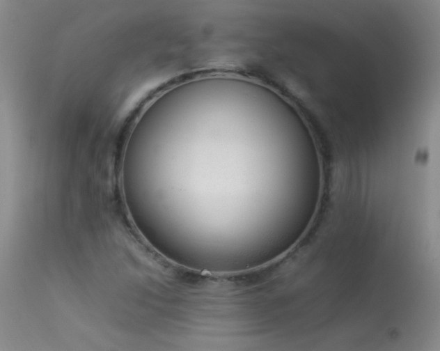 X0000114221214200910091339