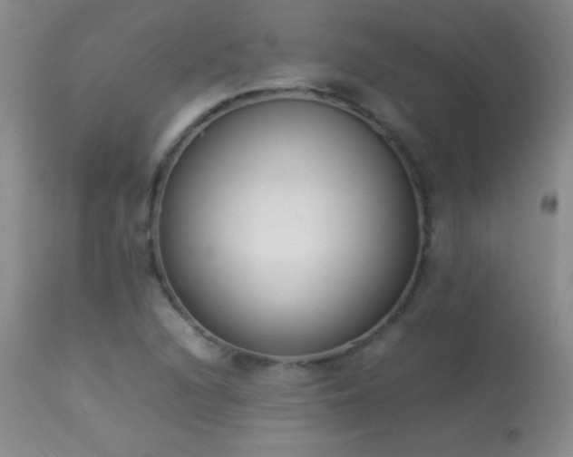 X0000114221216200910091339