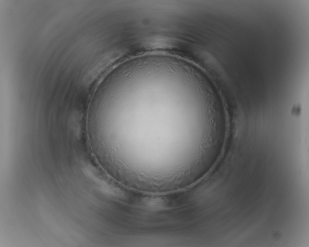 X0000114221217200910091339
