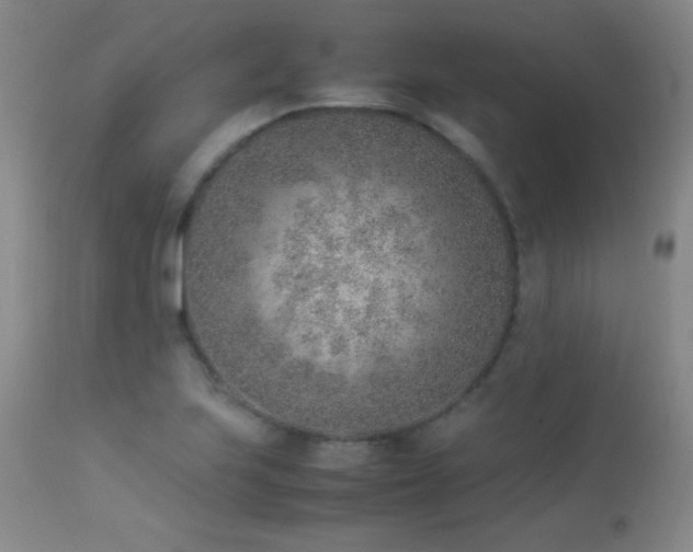 X0000114221223200910091340