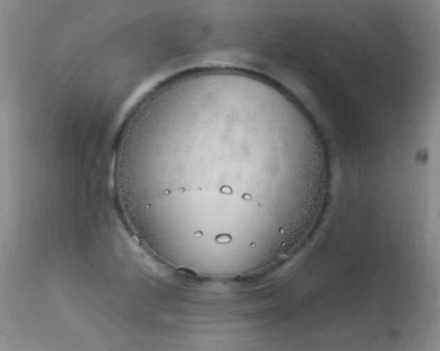 X0000114221224200910091340
