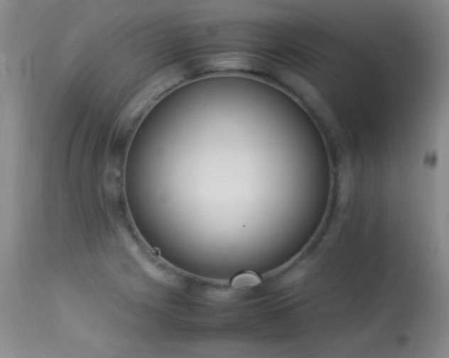 X0000114221225200910091340