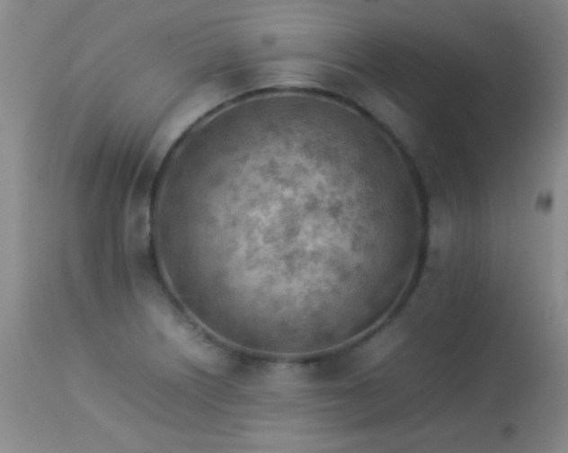 X0000114221226200910091340