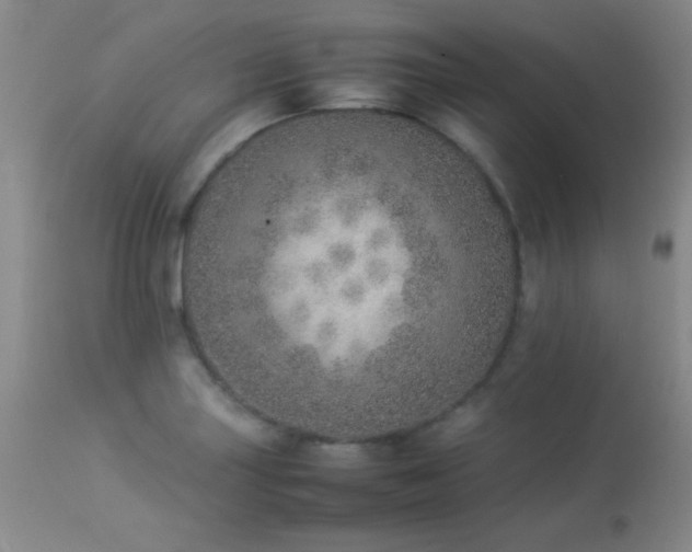 X0000114221227200910091340