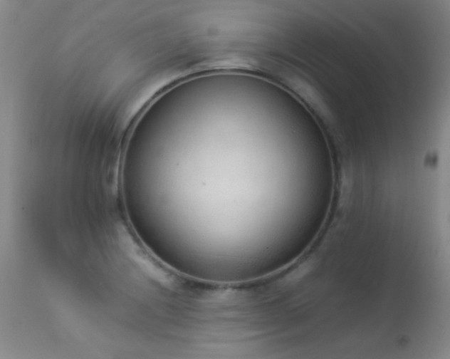 X0000114221228200910091340