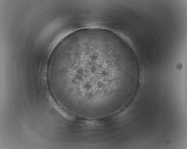 X0000114221231200910091340