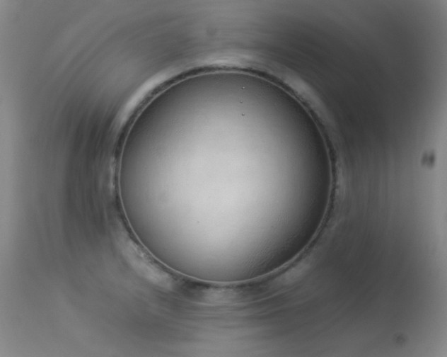 X0000114221232200910091340