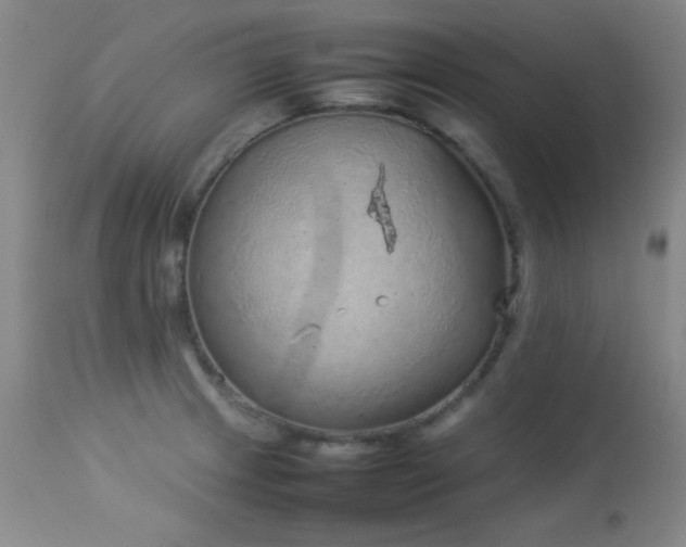 X0000114221233200910091340