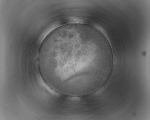 X0000114221235200910091340
