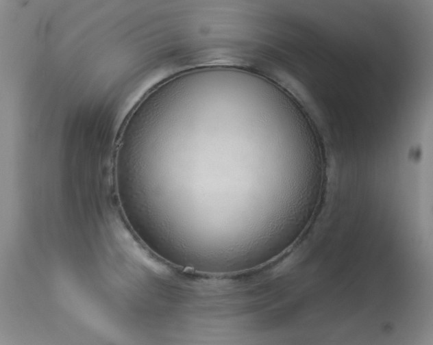 X0000114221236200910091340