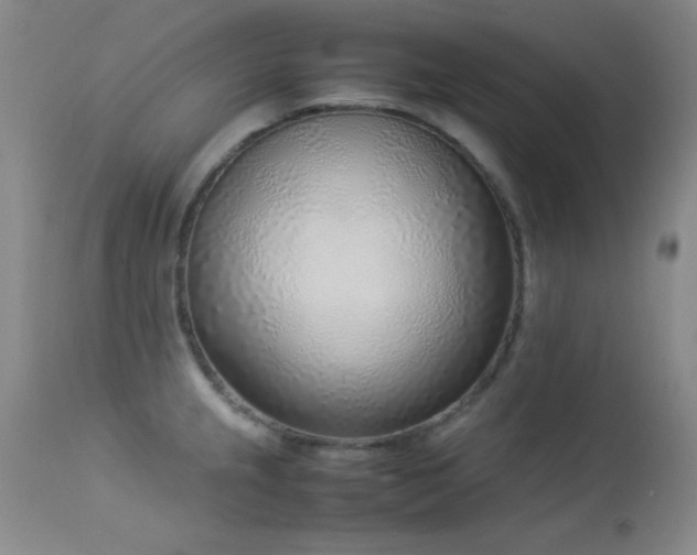 X0000114221237200910091340