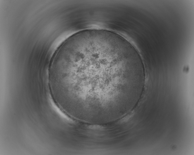 X0000114221239200910091340
