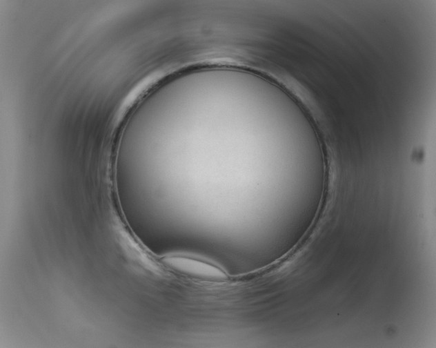 X0000114221240200910091340