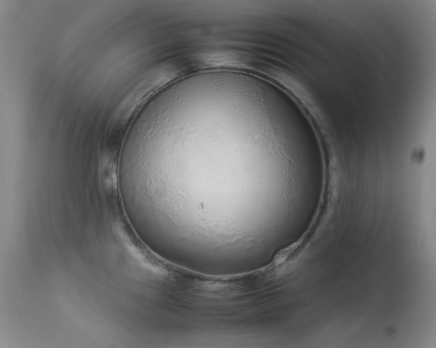 X0000114221241200910091340