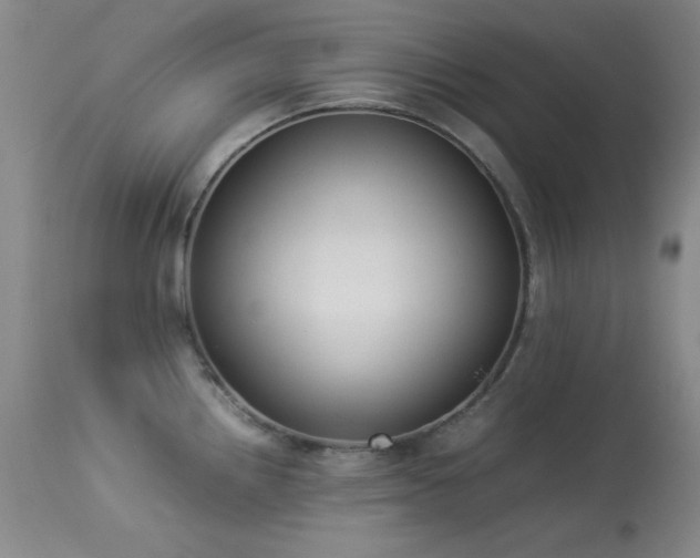 X0000114221242200910091340