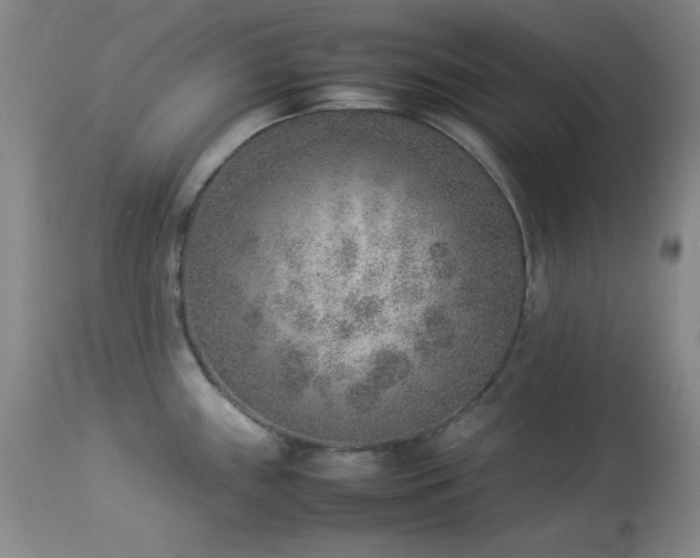 X0000114221243200910091340